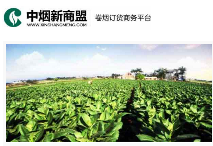中烟新商盟卷烟订货商务平台-新彩官网