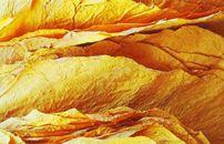 新彩官网烟草行业解决方案V6-新彩官网