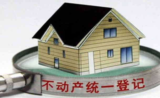 新彩官网不动产登记信息管理系统解决方案