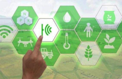 新彩官网海岳智粮·粮企云产品解决方案