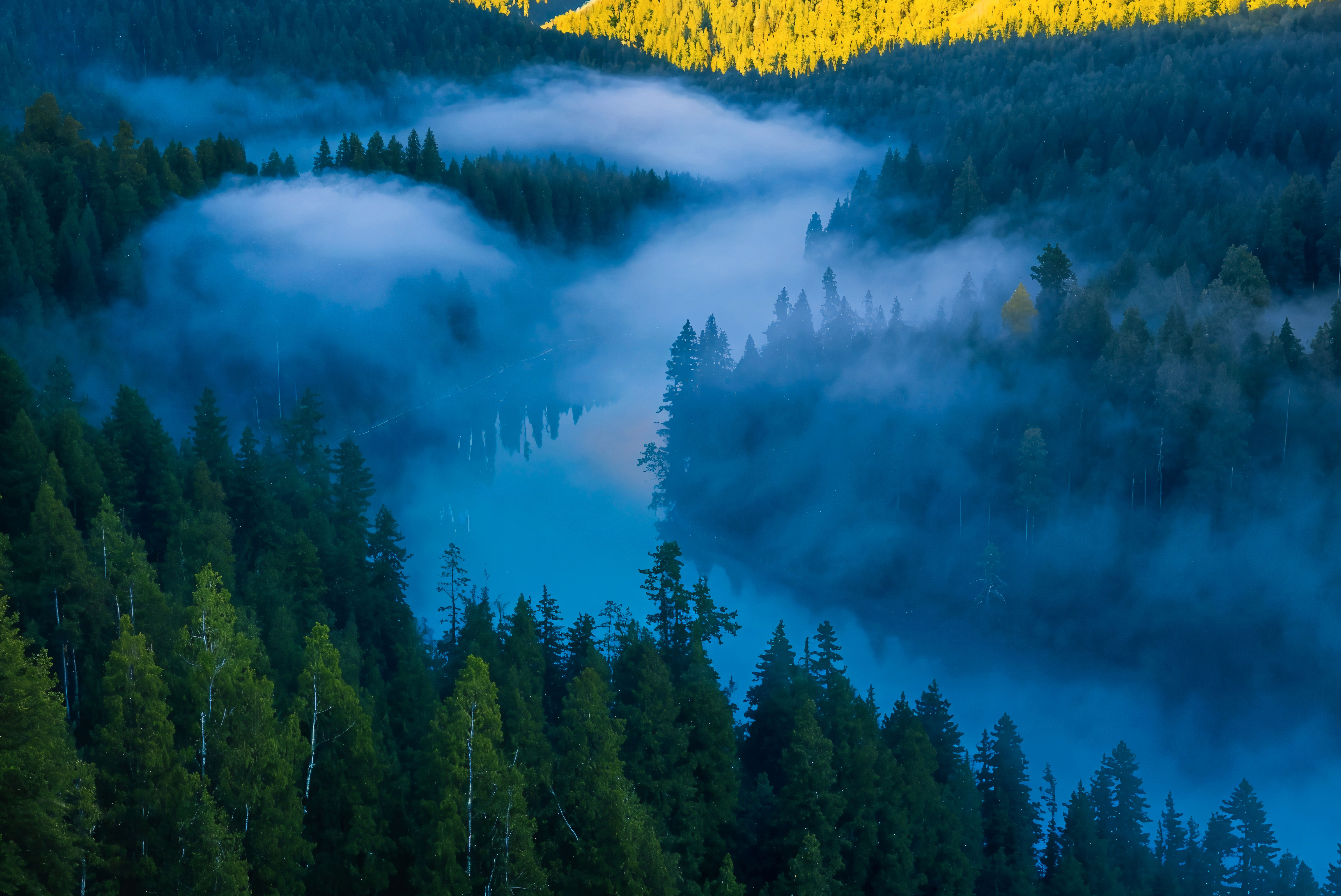 新彩官网林业大数据及行业应用解决方案